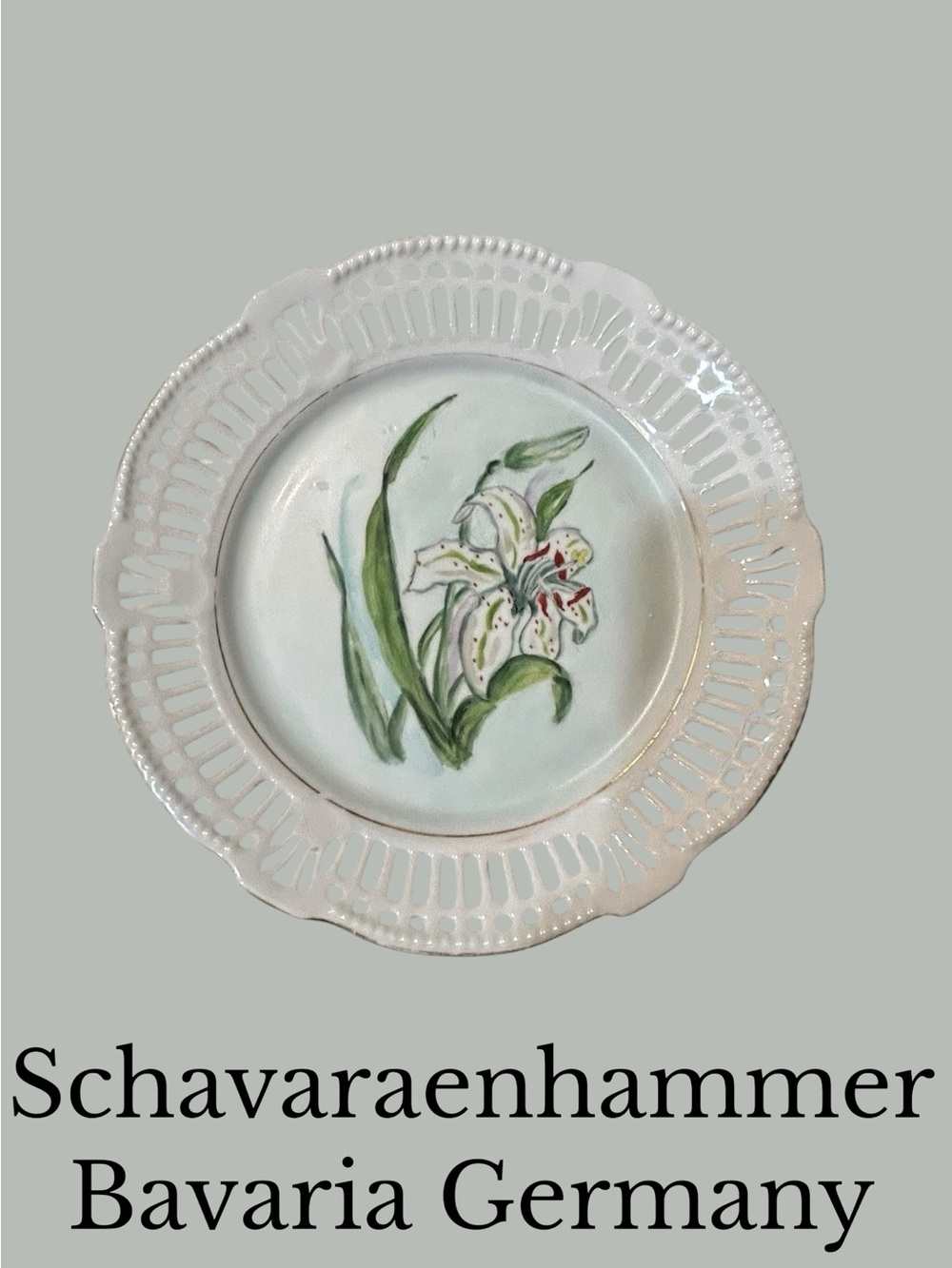Schavaraenhammer Bavaria Germany White Floral Ceramic Serving Plate